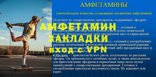 PSILOCYBIN Алзамай