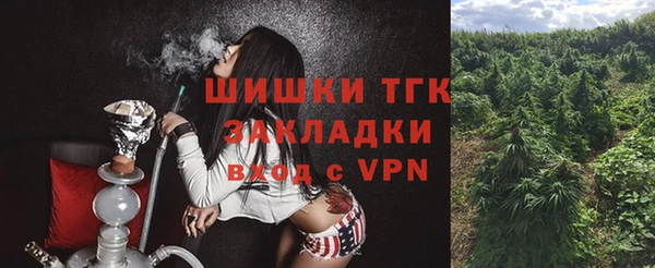PSILOCYBIN Алзамай