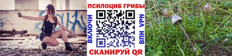 Псилоцибиновые грибы MAGIC MUSHROOMS  купить наркотик  Дзержинск 