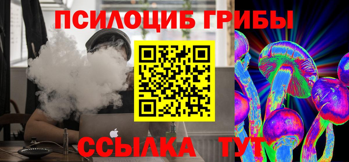 Псилоцибиновые грибы Psilocybe  Псилоцибиновые грибы Psilocybine cubensis  Дзержинск  Вход с VPN 