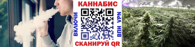 Канабис планчик Дзержинск